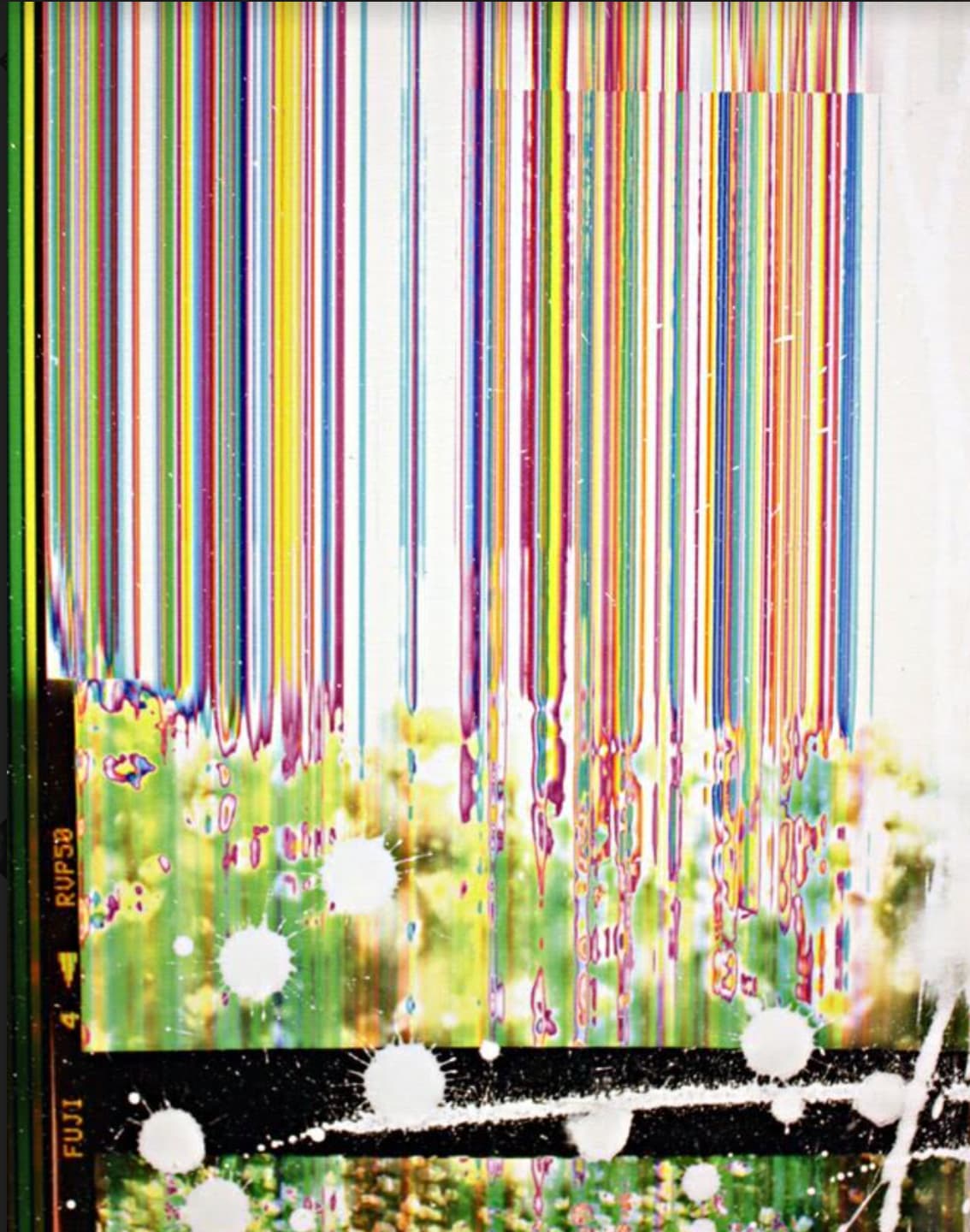 Jason Engelund, Seeing the Fields of Seeing, No Exit Just Colors, Flowers, 2016