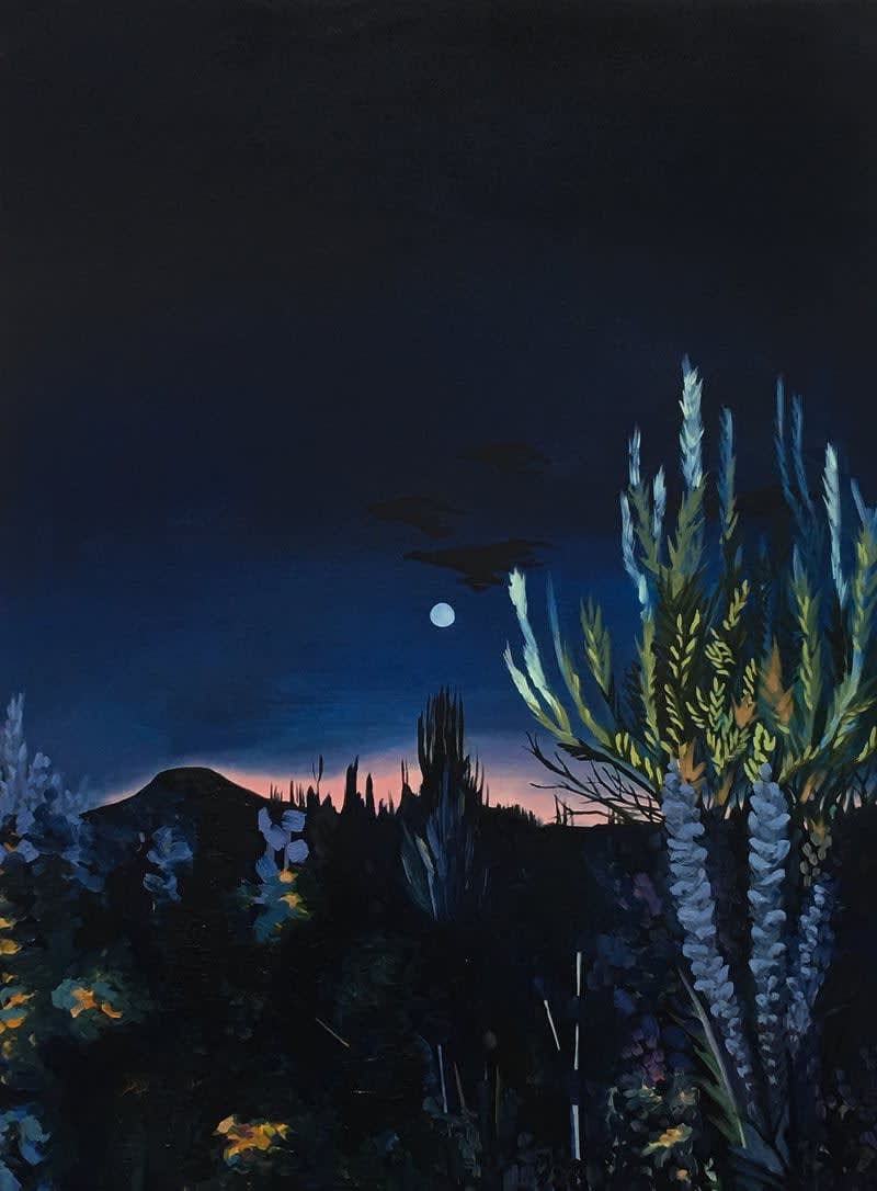 Adele Gilani, Desert Moon, 2018