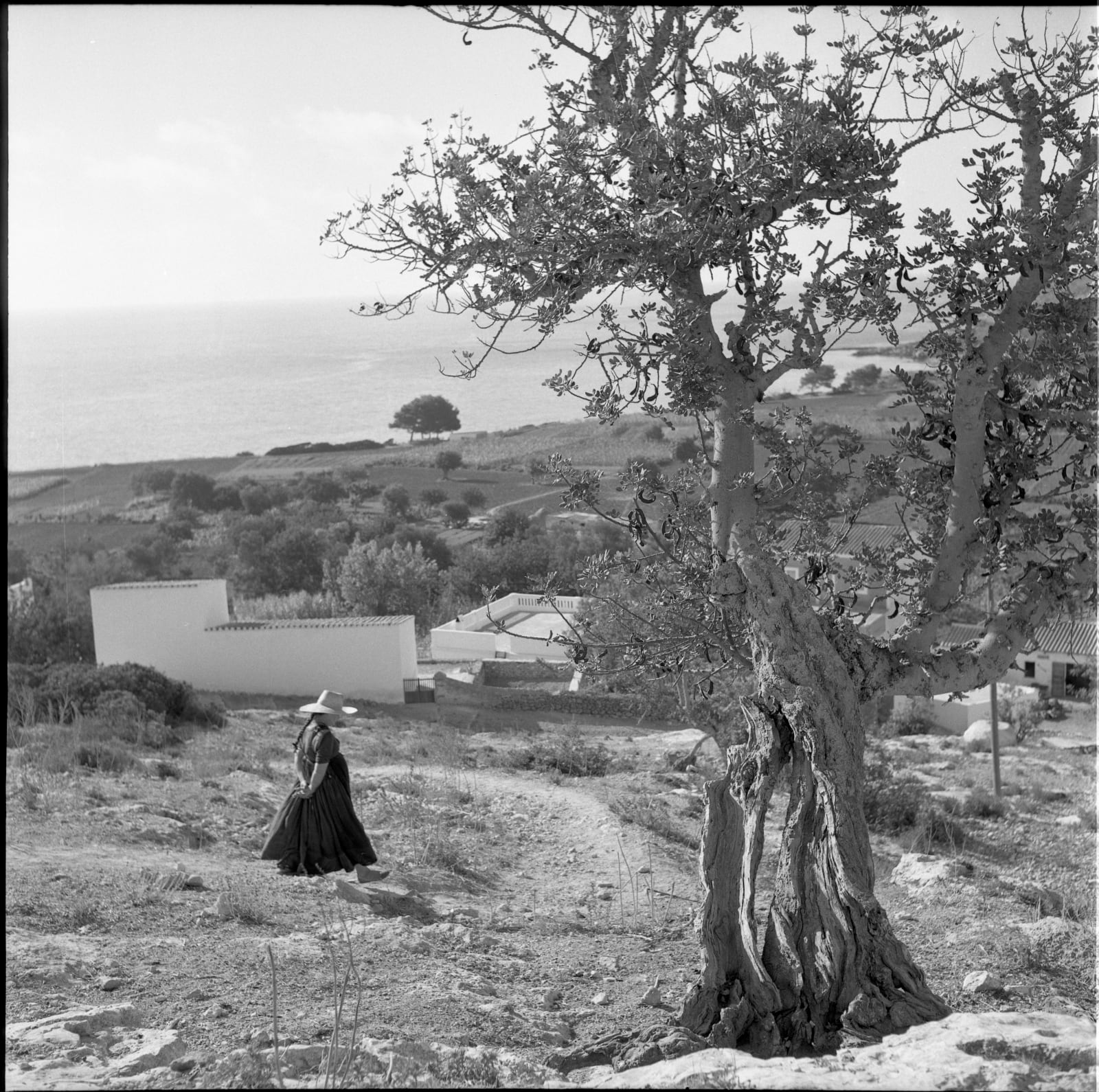 Oriol Maspons, Formentera, Balearic Islands, Spain, cerca 1957