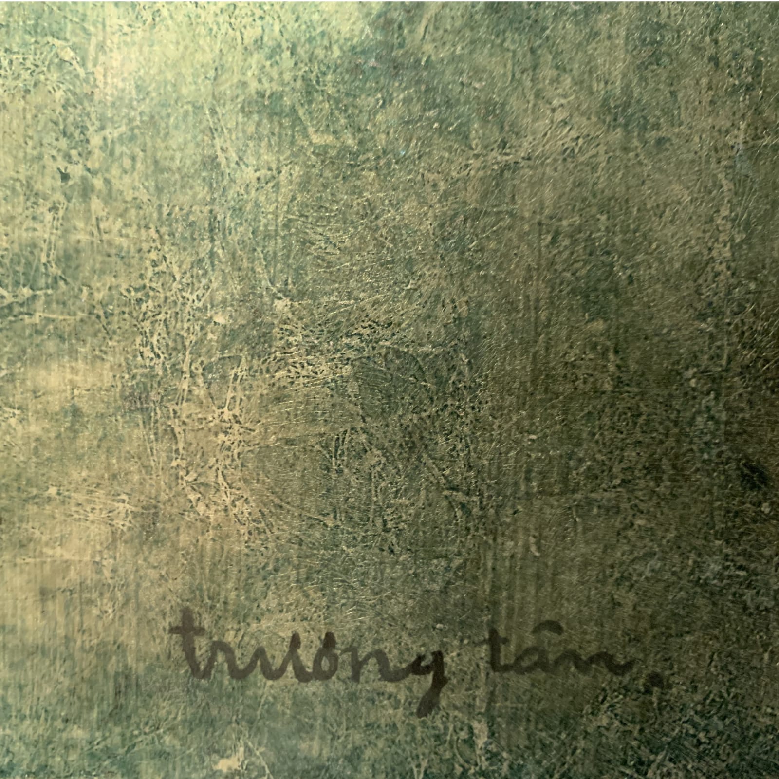 Truong Tan, Beyond the Time, 2008