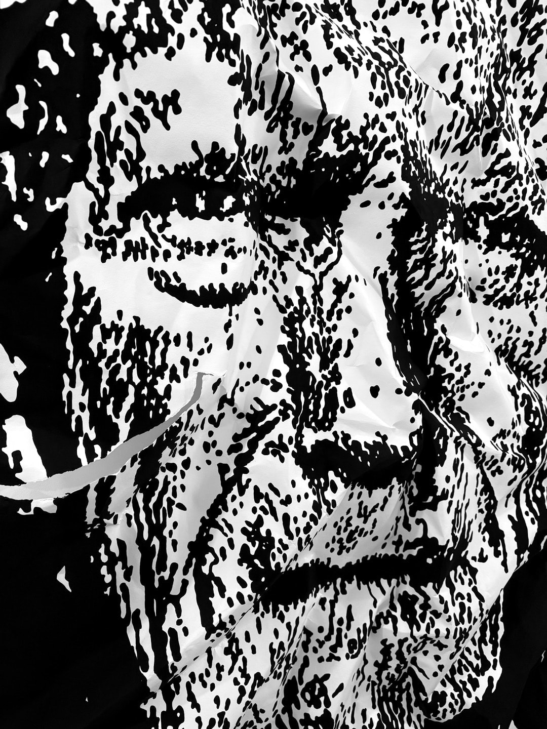Bret Reilly, Eastwood, 2024