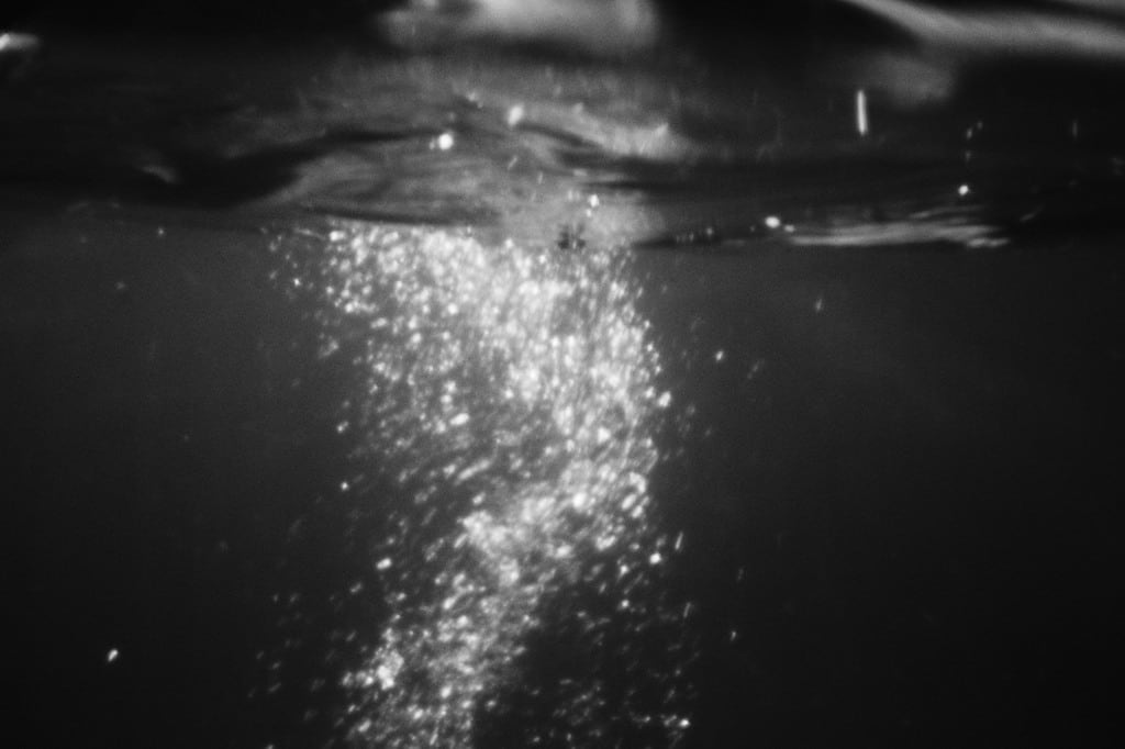 Fiona Ones, Evening Dive, 2016