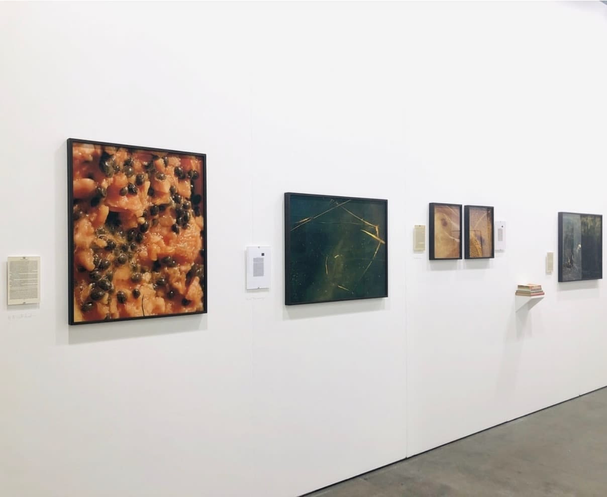 Elizabeth Gabrielle Lee, Like Tattoo marks, 2019