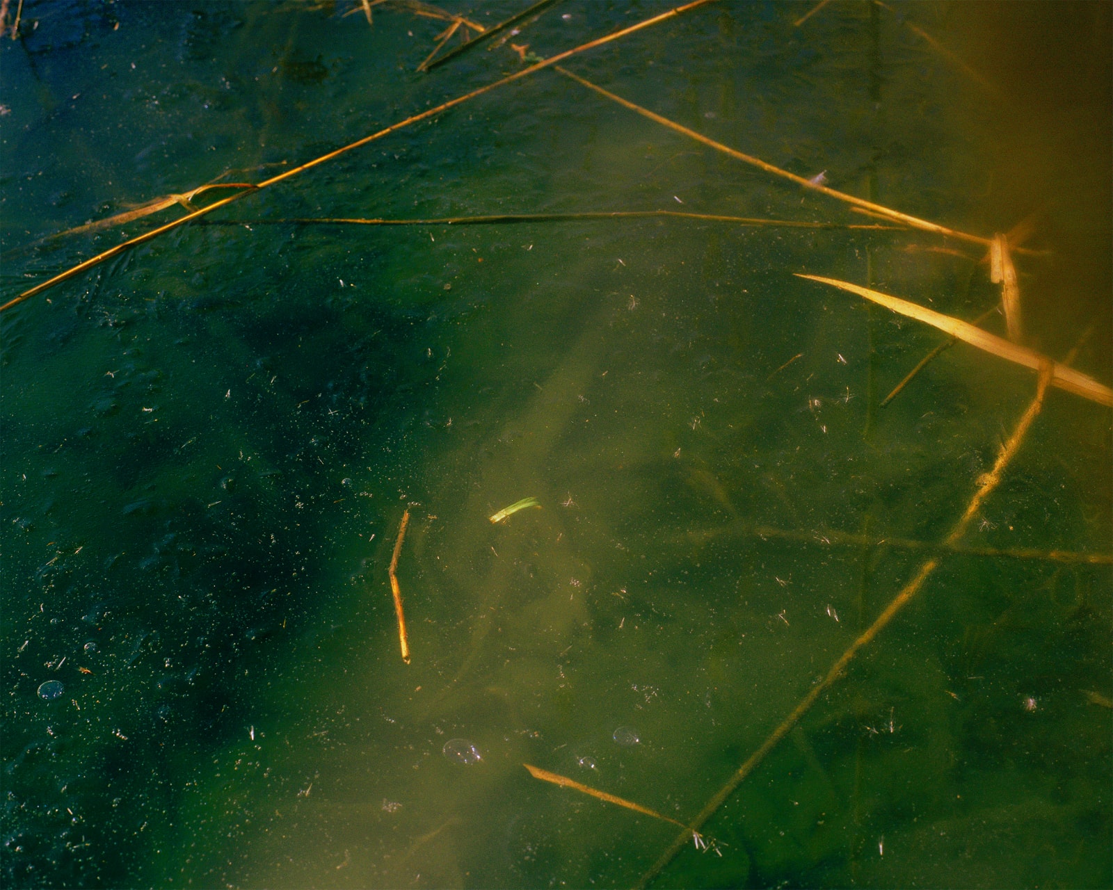 Elizabeth Gabrielle Lee, Green, and Clear, and Swirling, 2018