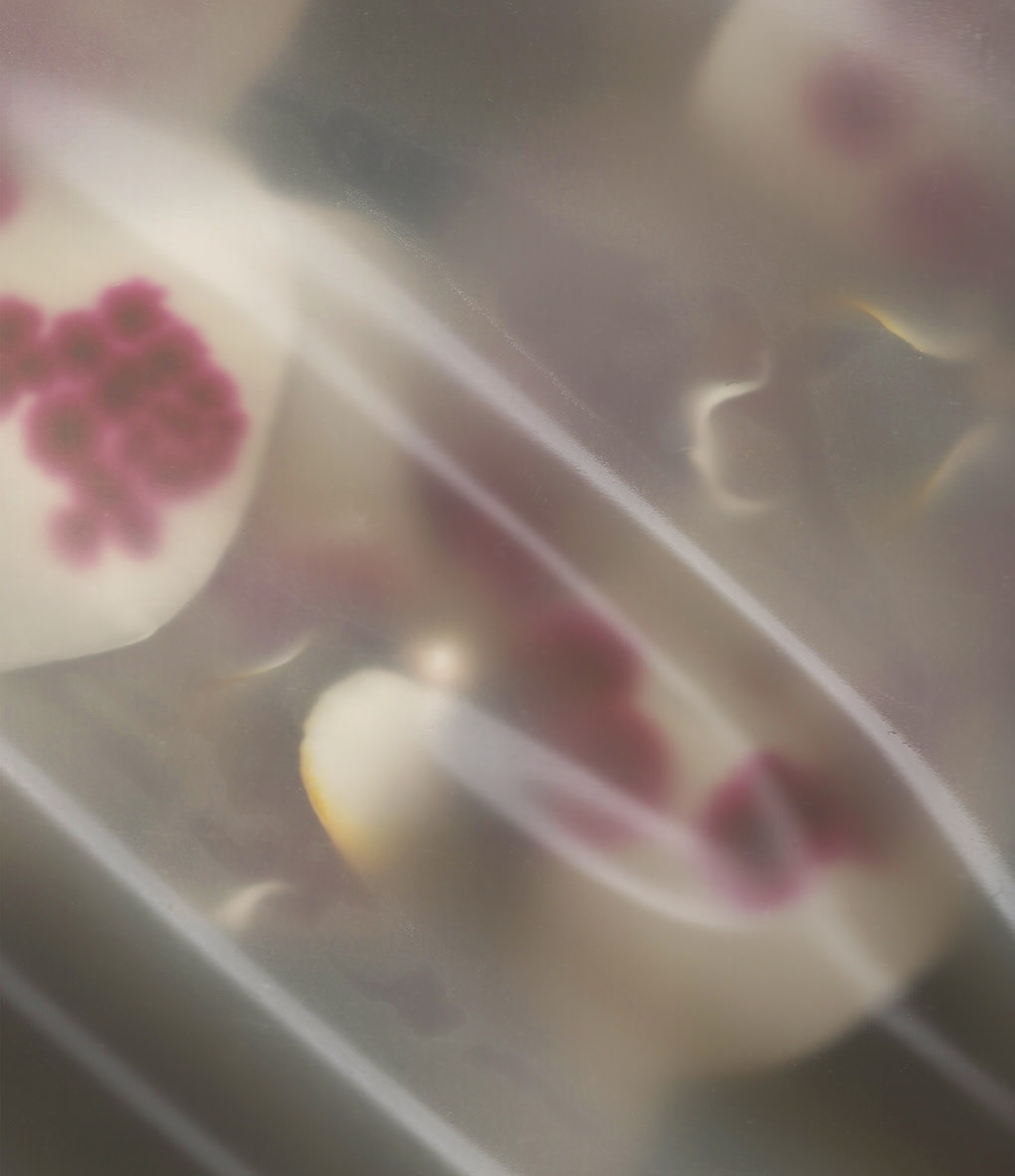 WeiXin Quek Chong, elongación líquida.1, 2021