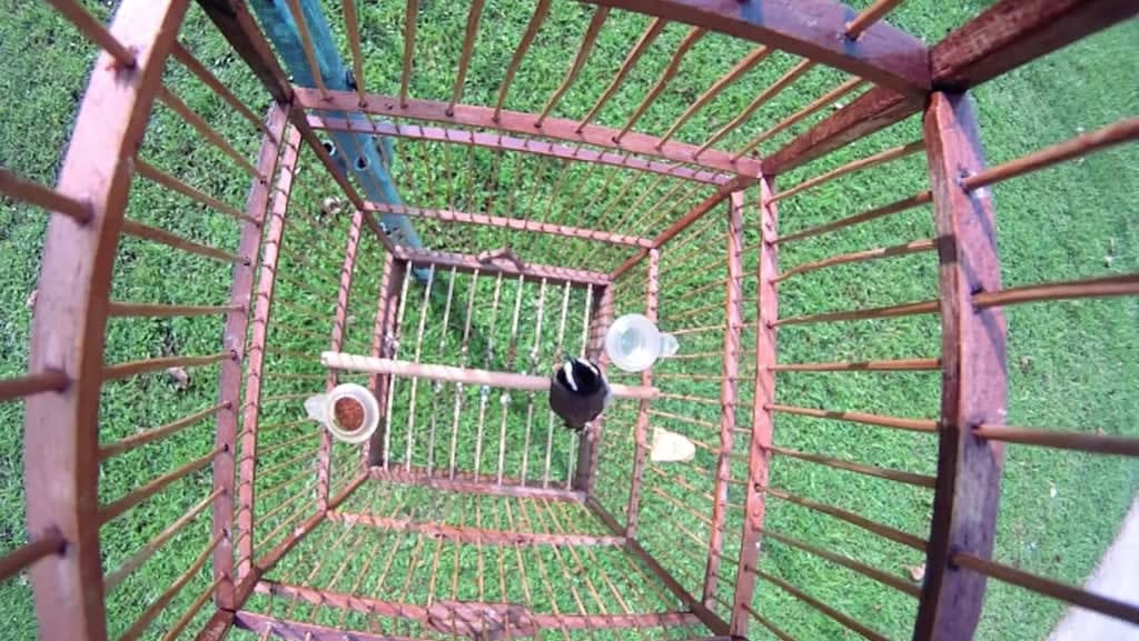Iyvone Khoo, Container Contained, 2011