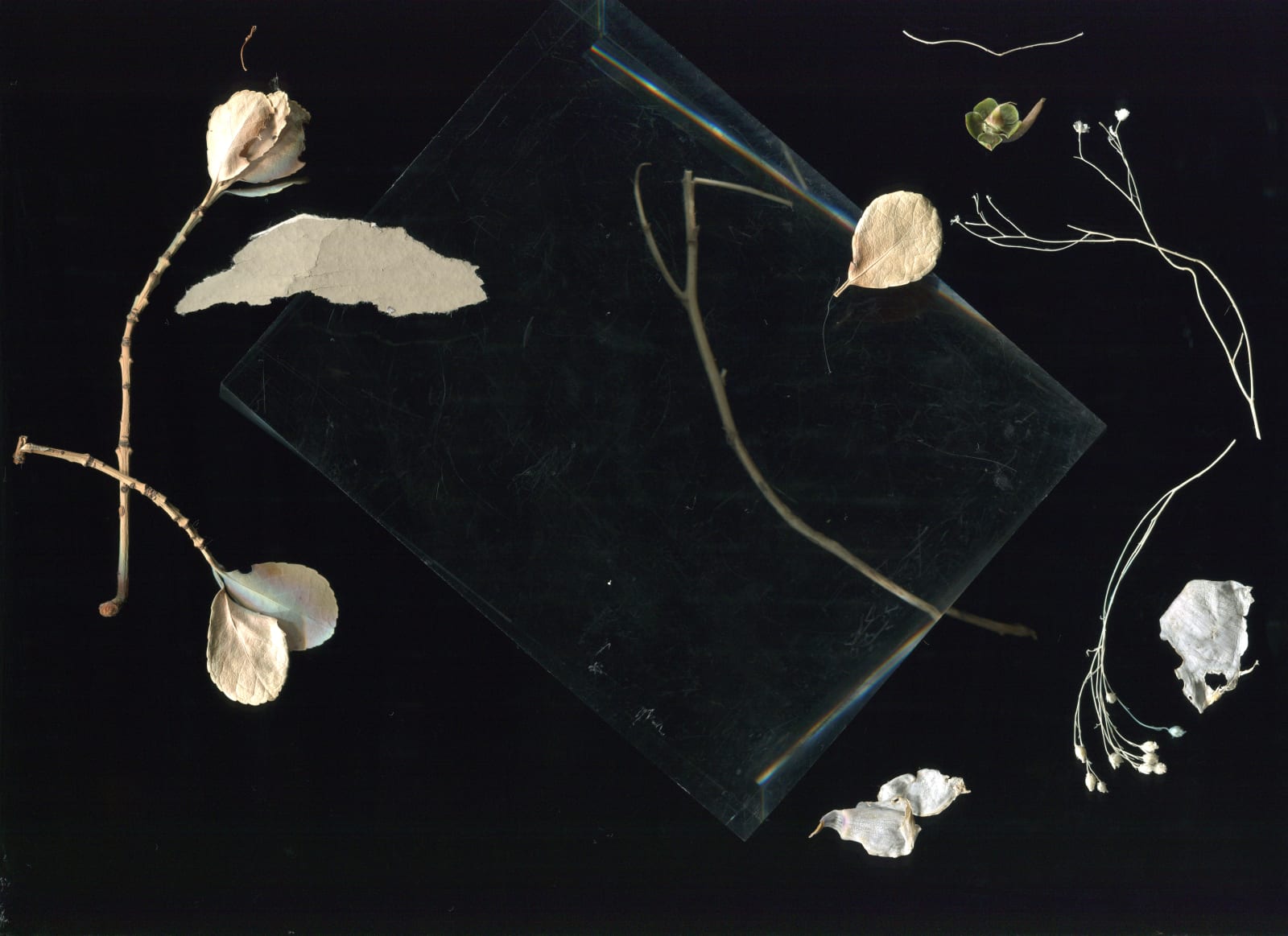 WeiXin Quek Chong, Beauvoir , 2015
