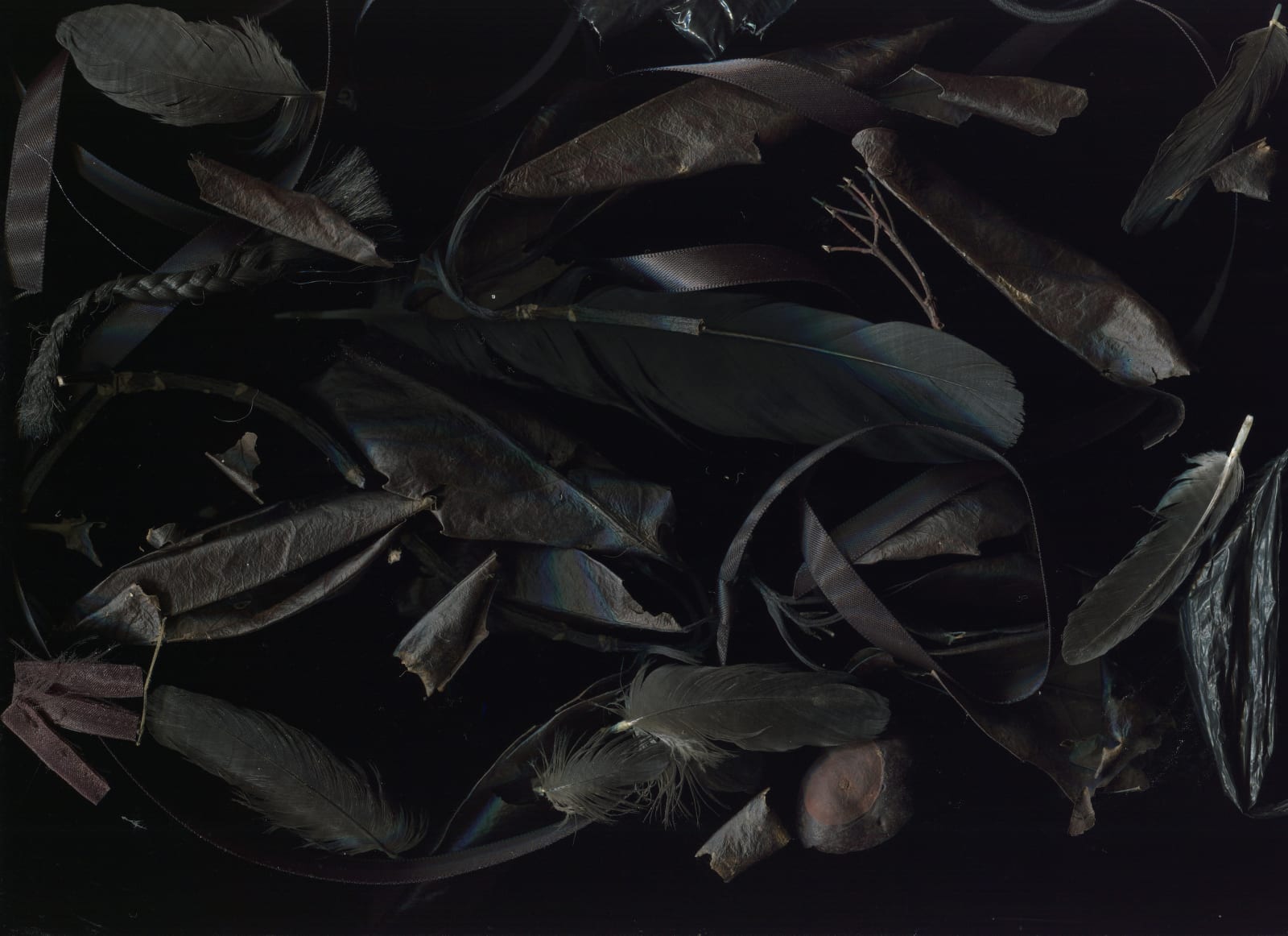 WeiXin Quek Chong, Corbu, 2015