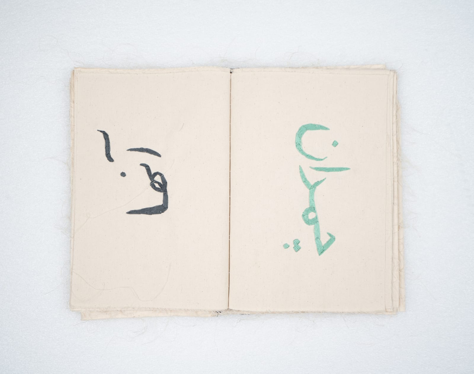 Elham Shafaei, First Book, 2023
