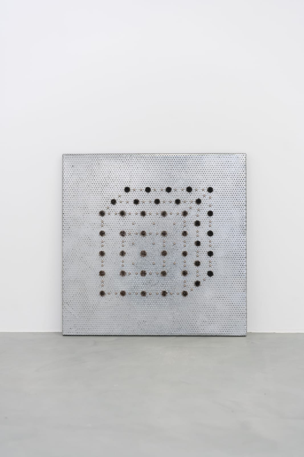 Armin Najib, Evolution, 2024