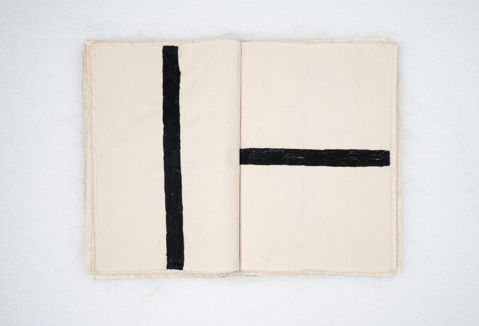 Elham Shafaei, First Book, 2023