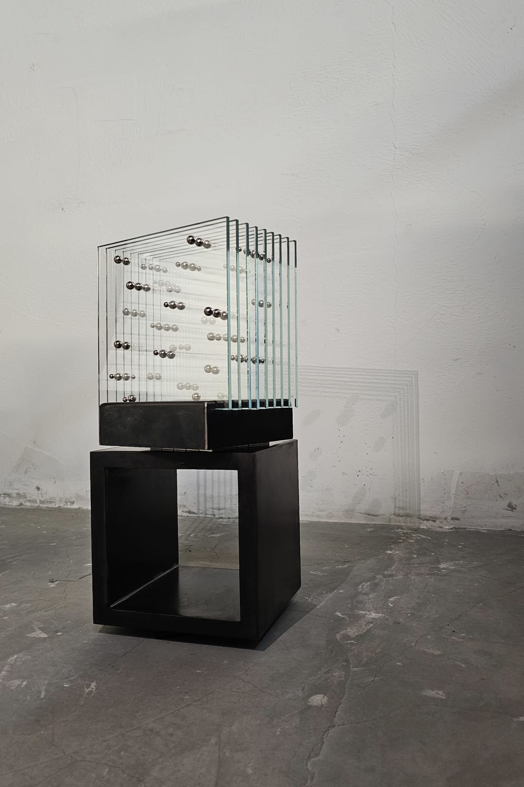 Armin Najib, TIME - VII, 2025