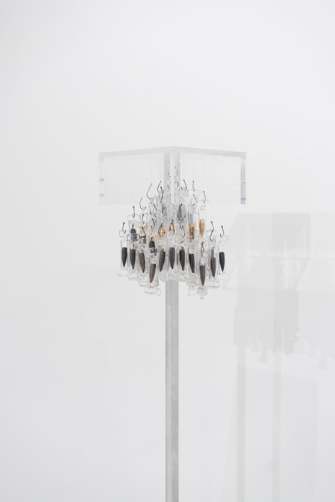 Armin Najib, Bullets Never Fired. Lives Never Lost., 2024