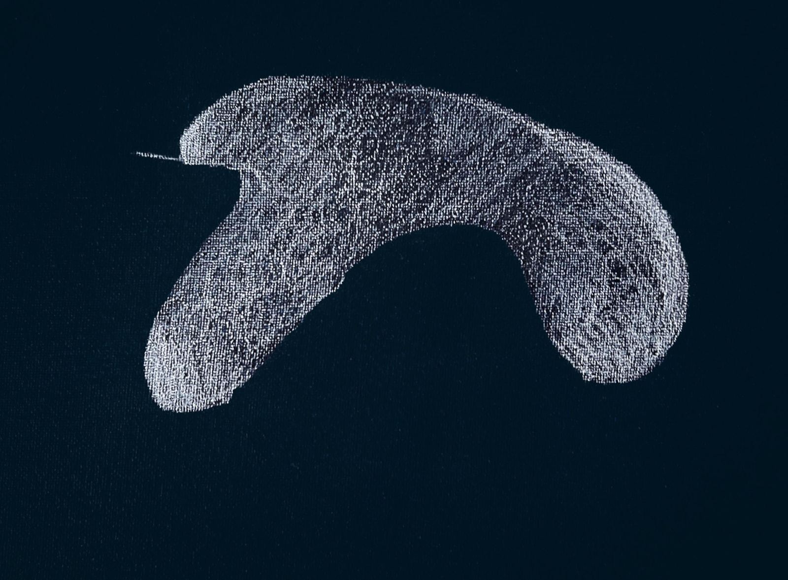 Alia Hussain Lootah, Becoming: flow, 2025