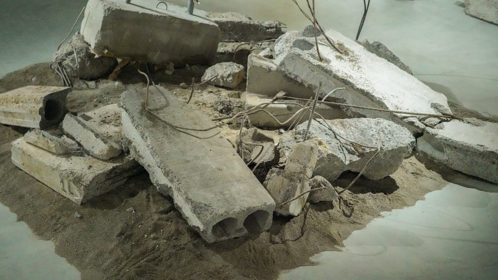 Salma Dib, Generation Unwall, 2025