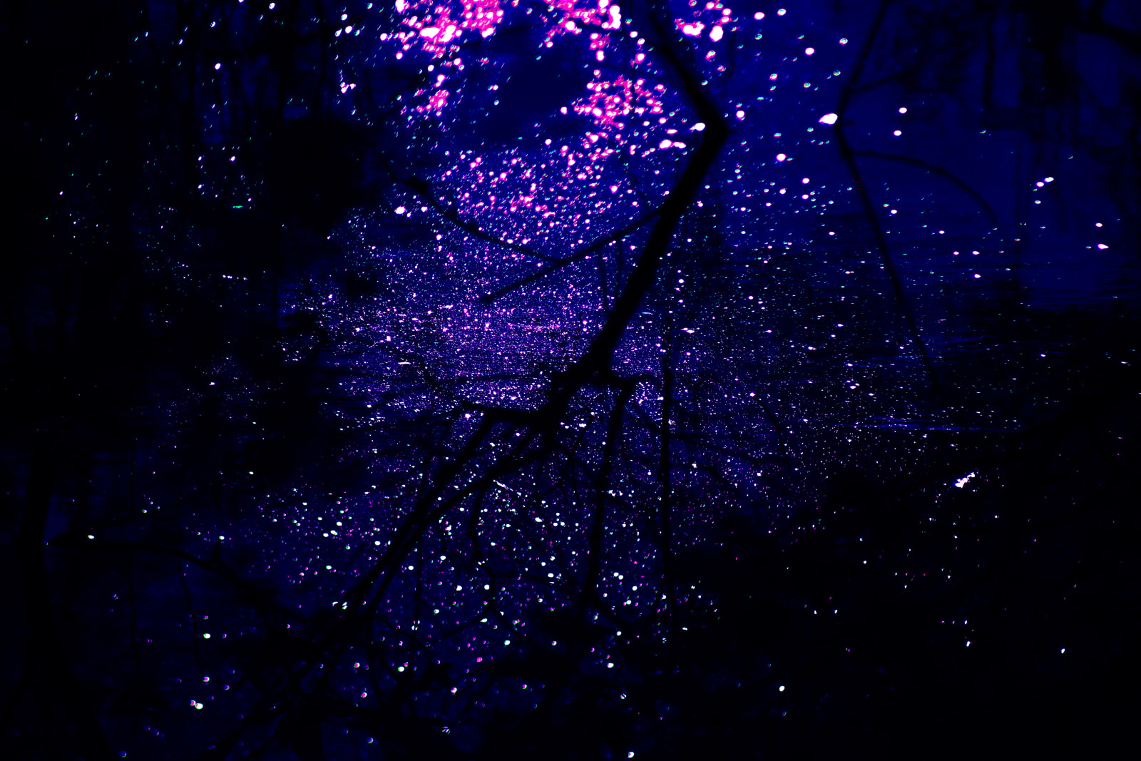 Ruqaya Al Hashmi, Sanctuary 4, 2021