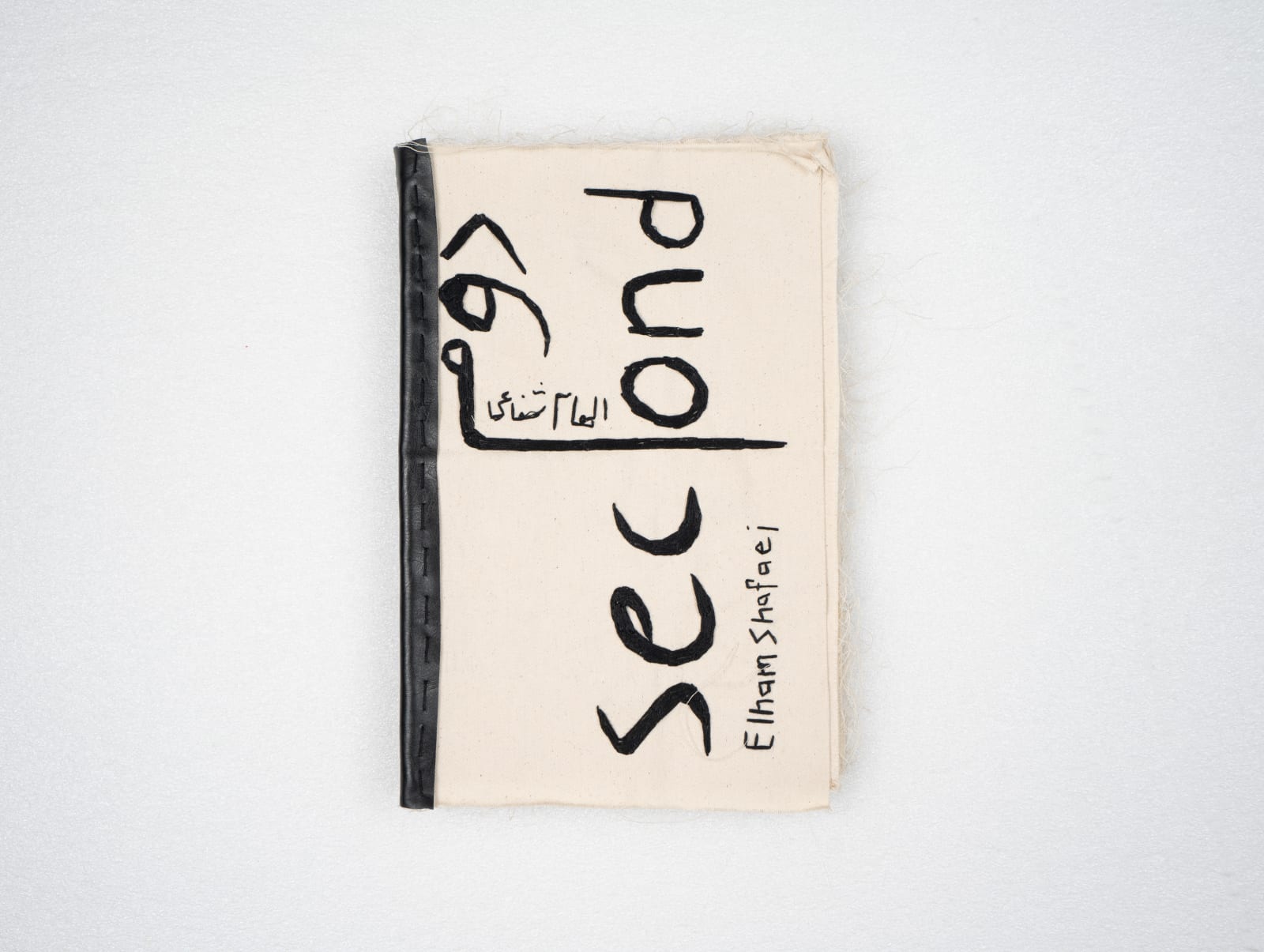 Elham Shafaei, Second Book, 2023