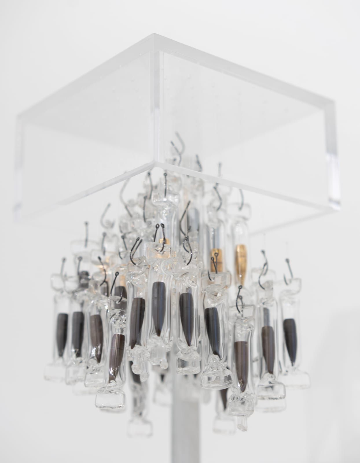 Armin Najib, Bullets Never Fired. Lives Never Lost., 2024