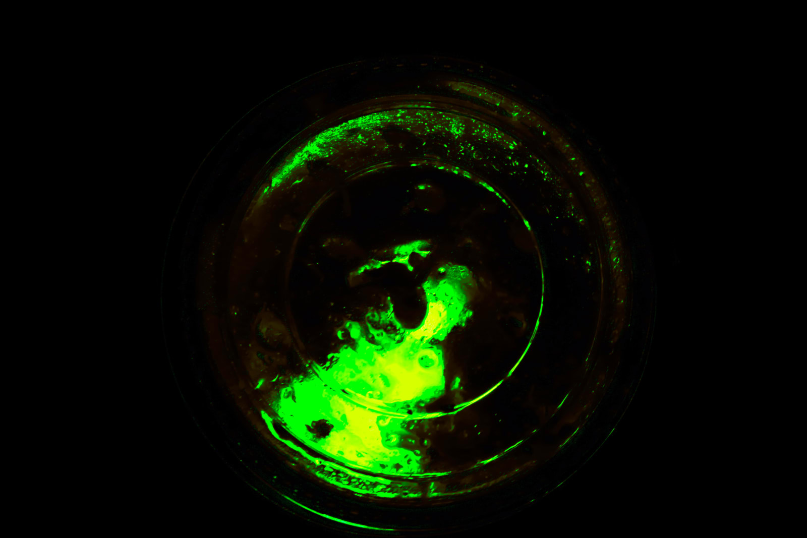 Ruqaya Al Hashmi, Path, 2021