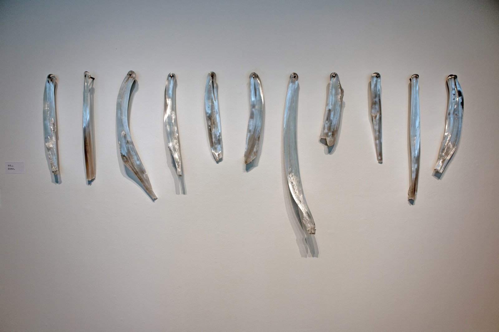 Sara Ahli, Bone Marrow 9, 2022