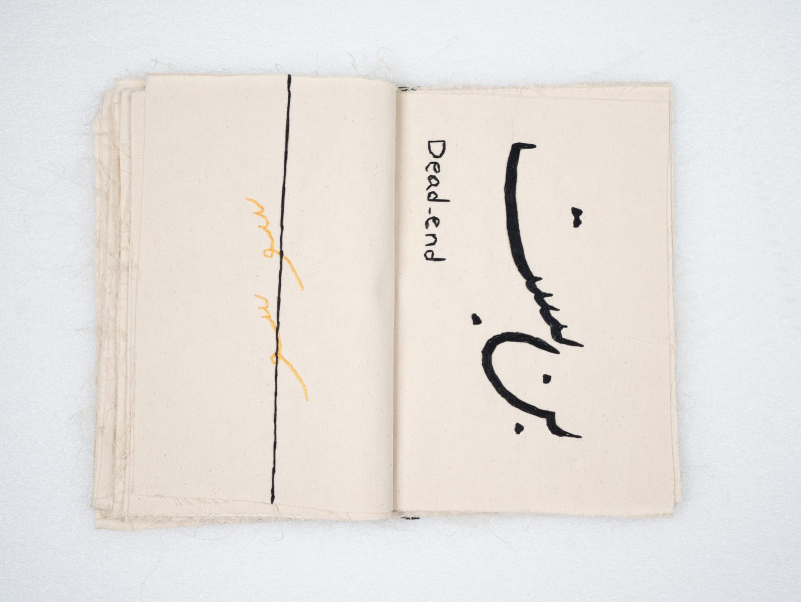 Elham Shafaei, Second Book, 2023