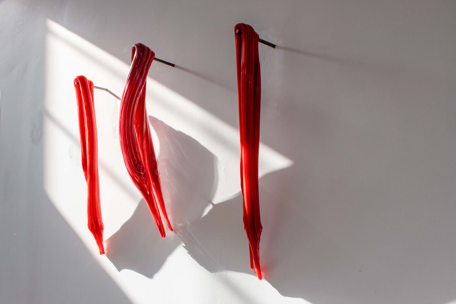 Sara Ahli, Bone Marrow - Flesh, 2024