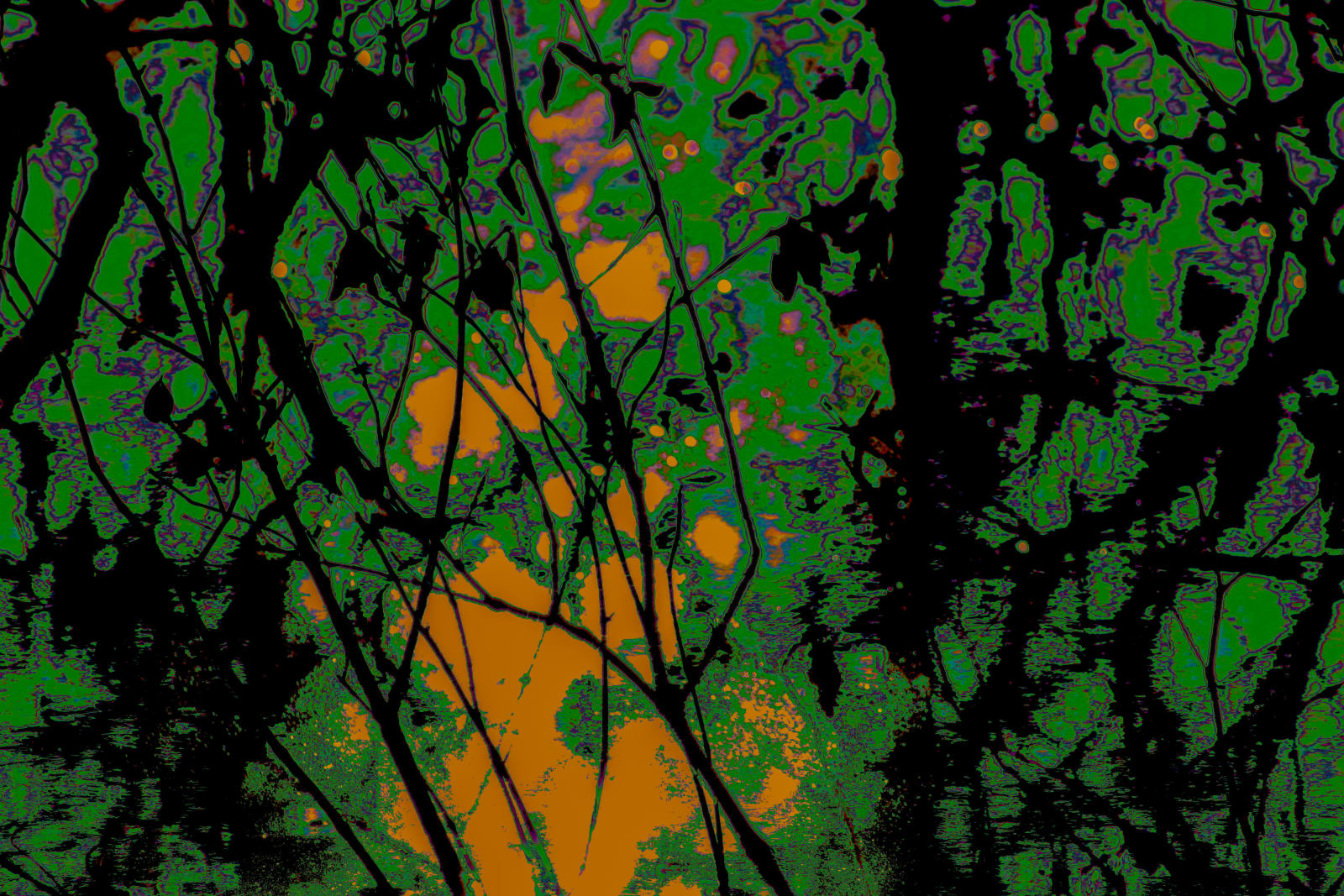 Ruqaya Al Hashmi, Can you see me between the lines?, 2022