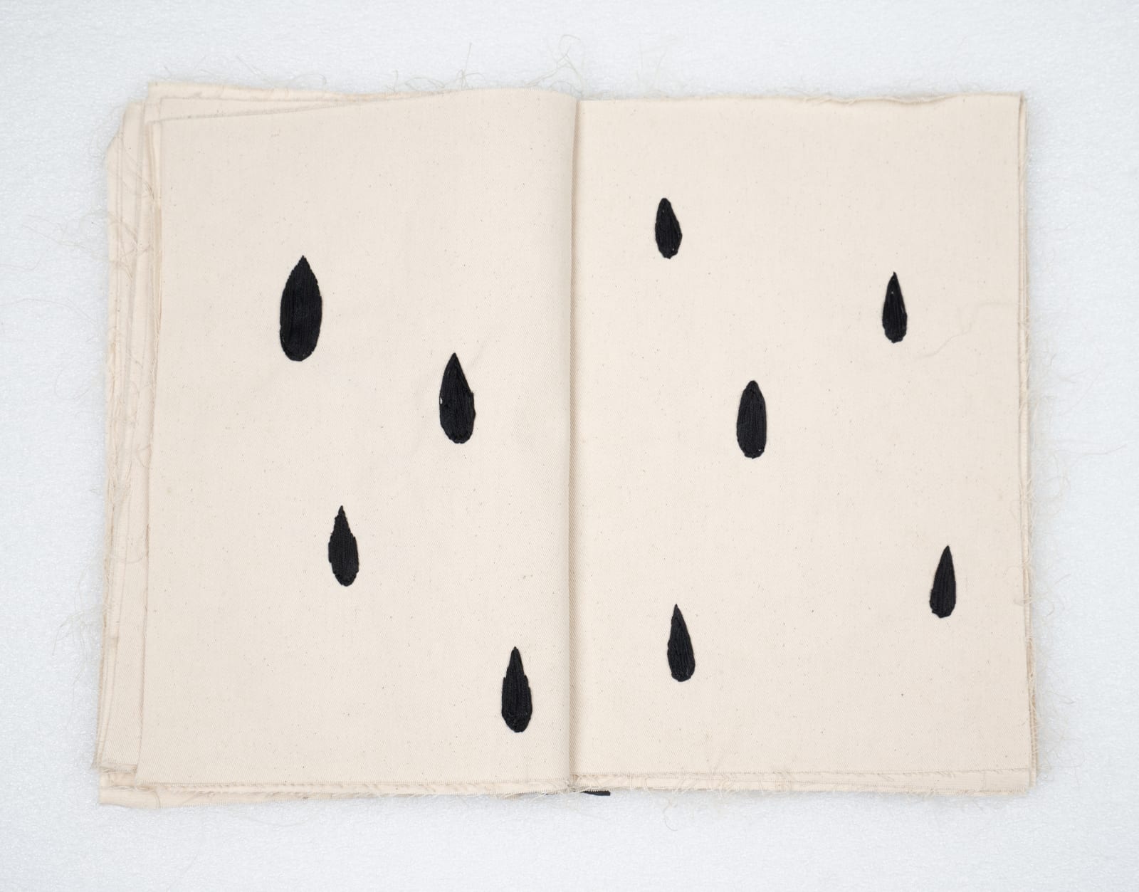 Elham Shafaei, Second Book, 2023