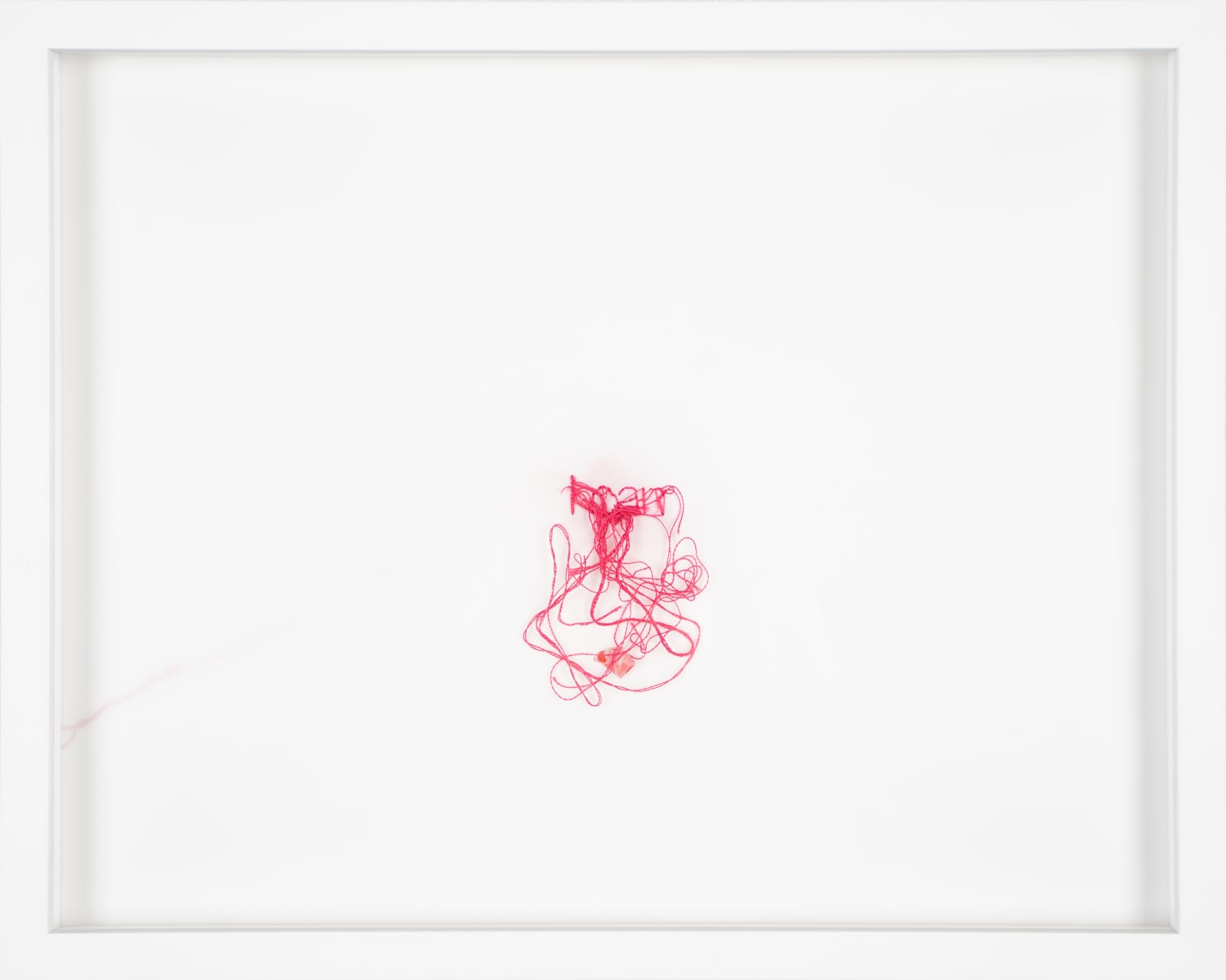 Sara Al Haddad, i can, 2024