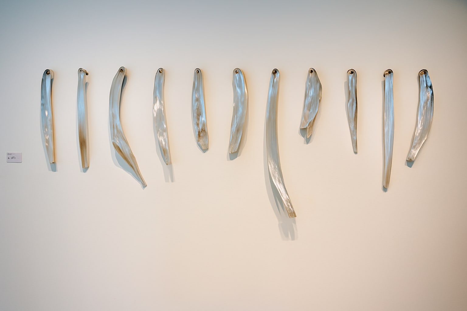 Sara Ahli, Bone Marrow 13, 2022