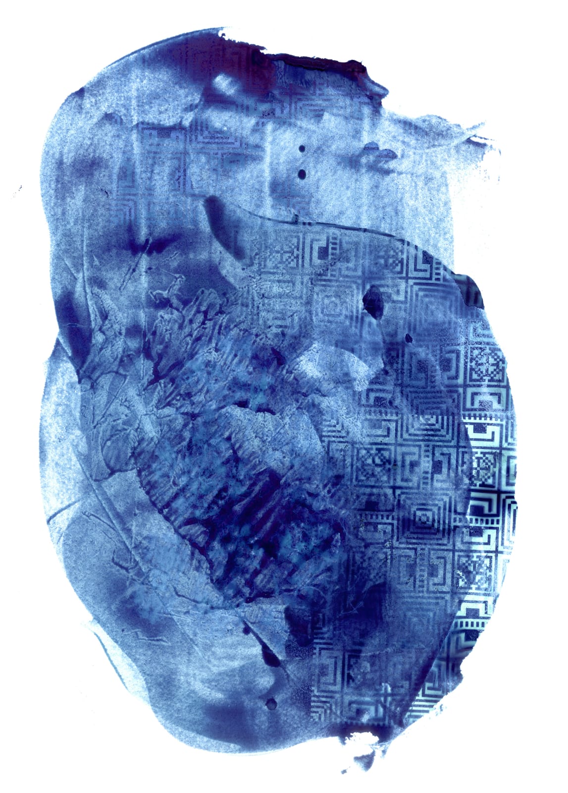 Samar Hejazi, C1-P, 2023