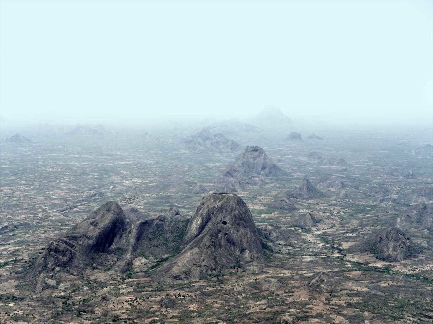 Filipe Branquinho, Terra bestiarium, 2020