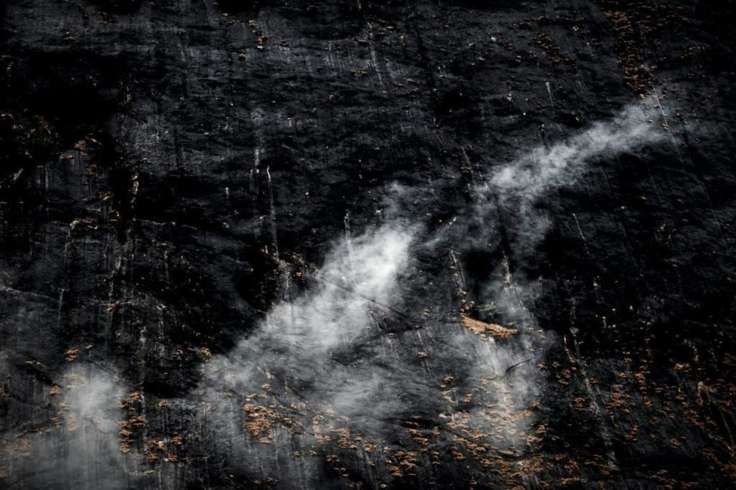 Filipe Branquinho, Terra bestiarium III, 2020