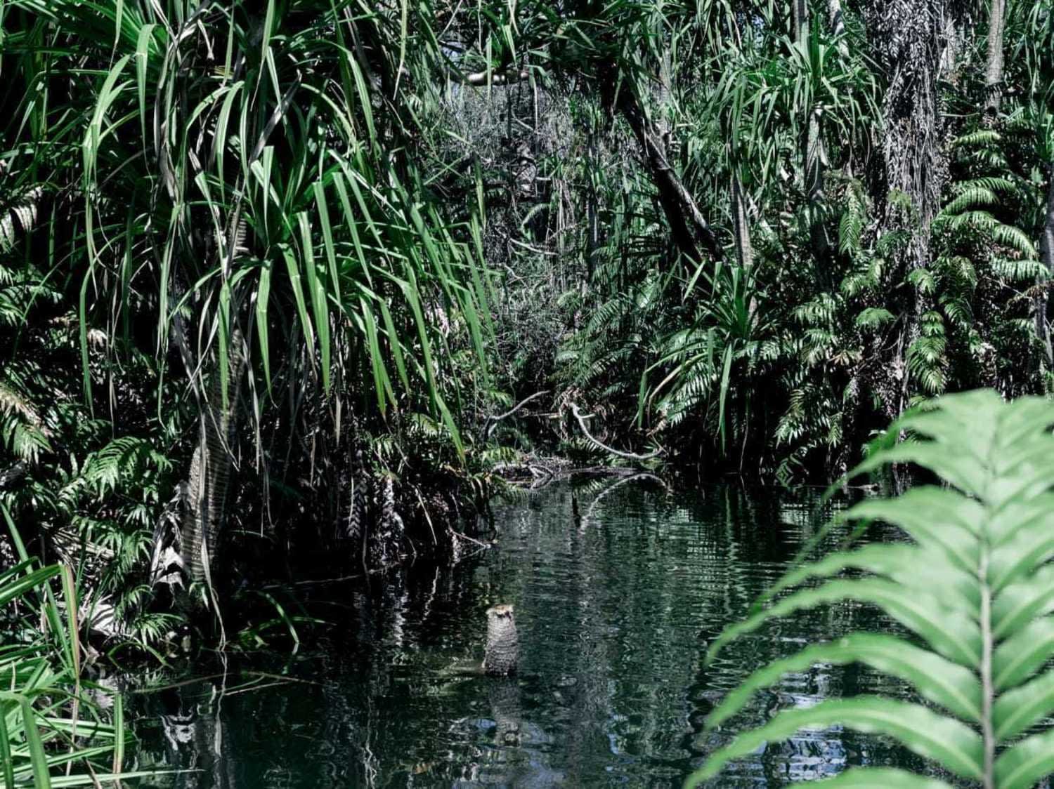 Filipe Branquinho, Terra bestiarium, 2020