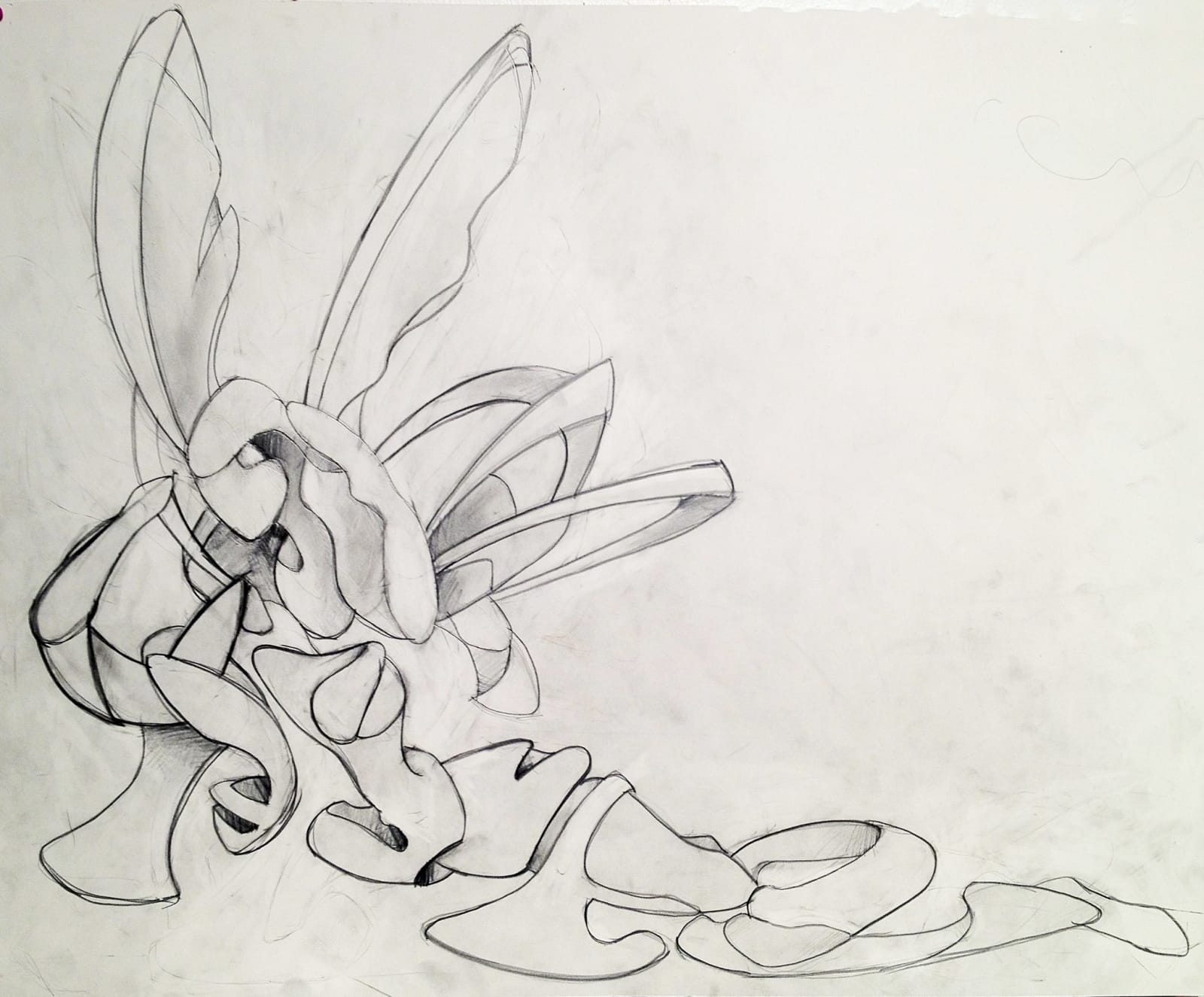 MOORE'S CANOVA, 2013