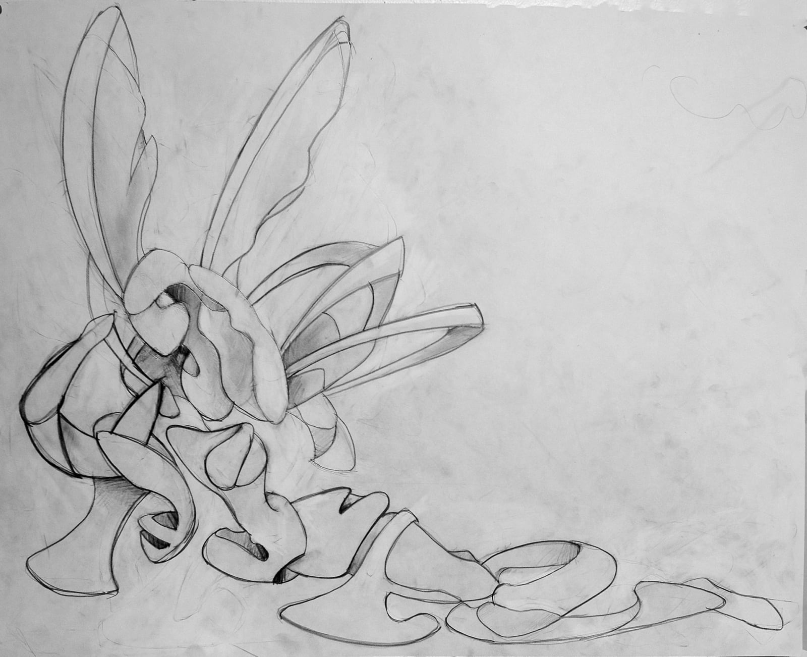 MOORE'S CANOVA, 2013