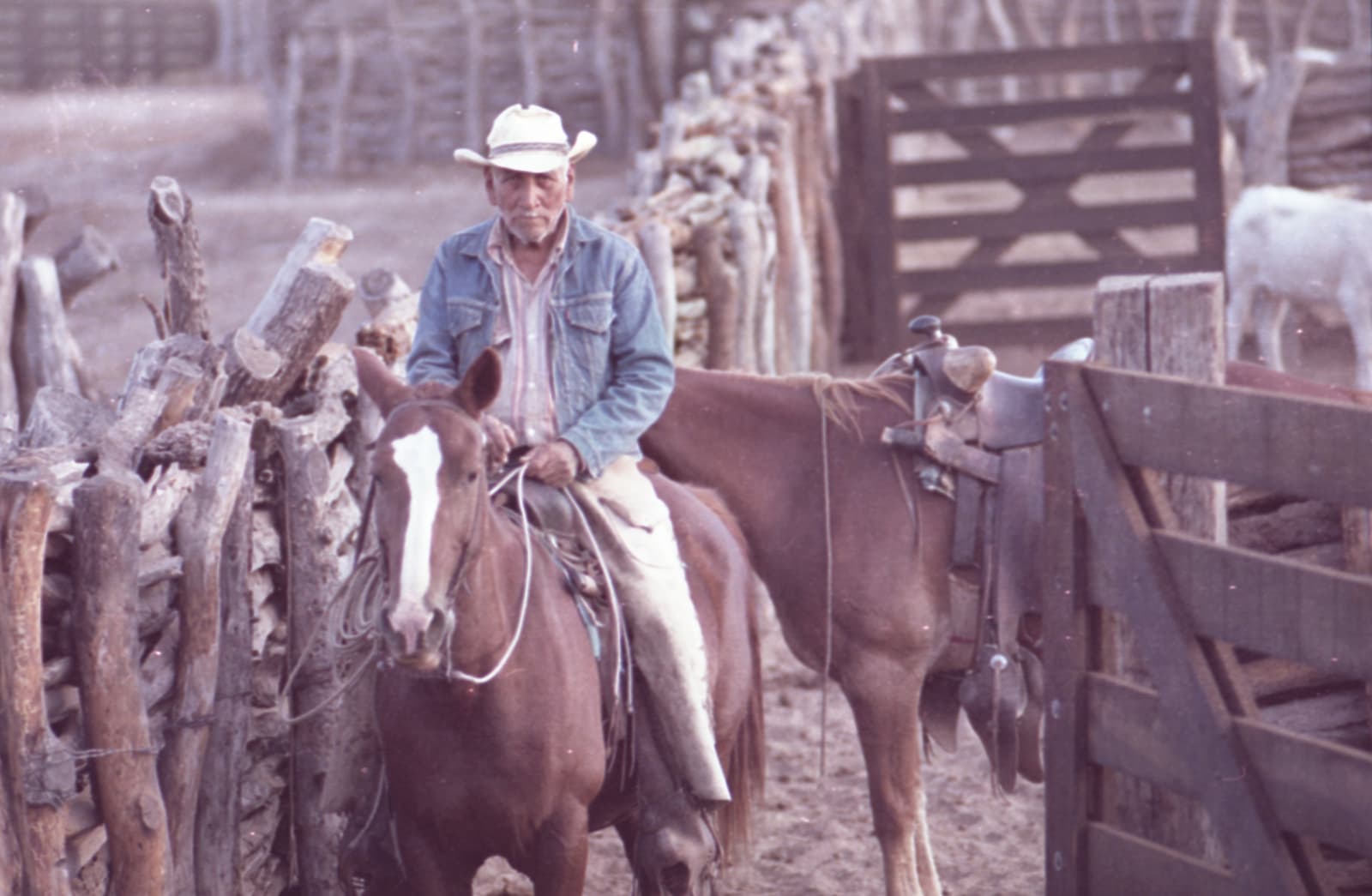 Alberto Herrera, Corral