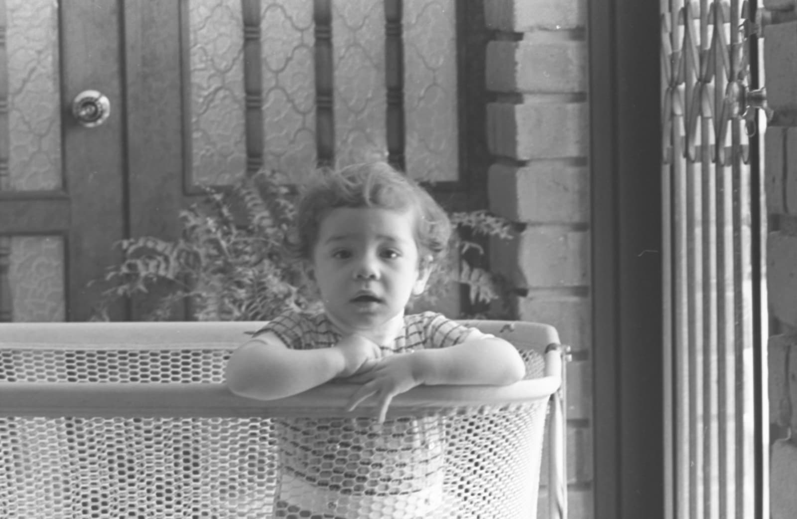 Alberto Herrera, Hugo Herrera