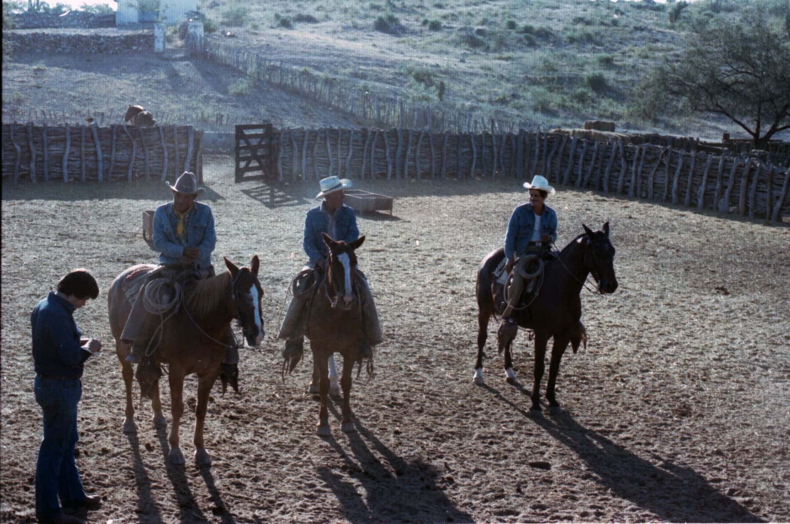 Alberto Herrera, A caballo