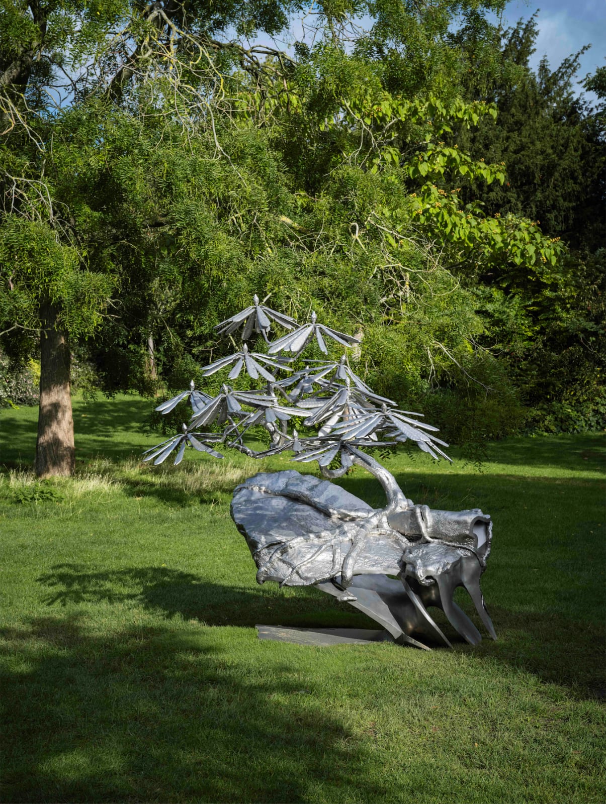 Timur Si-Qin, Last of the Wild and Free (Rhododendron calophytum), 2025