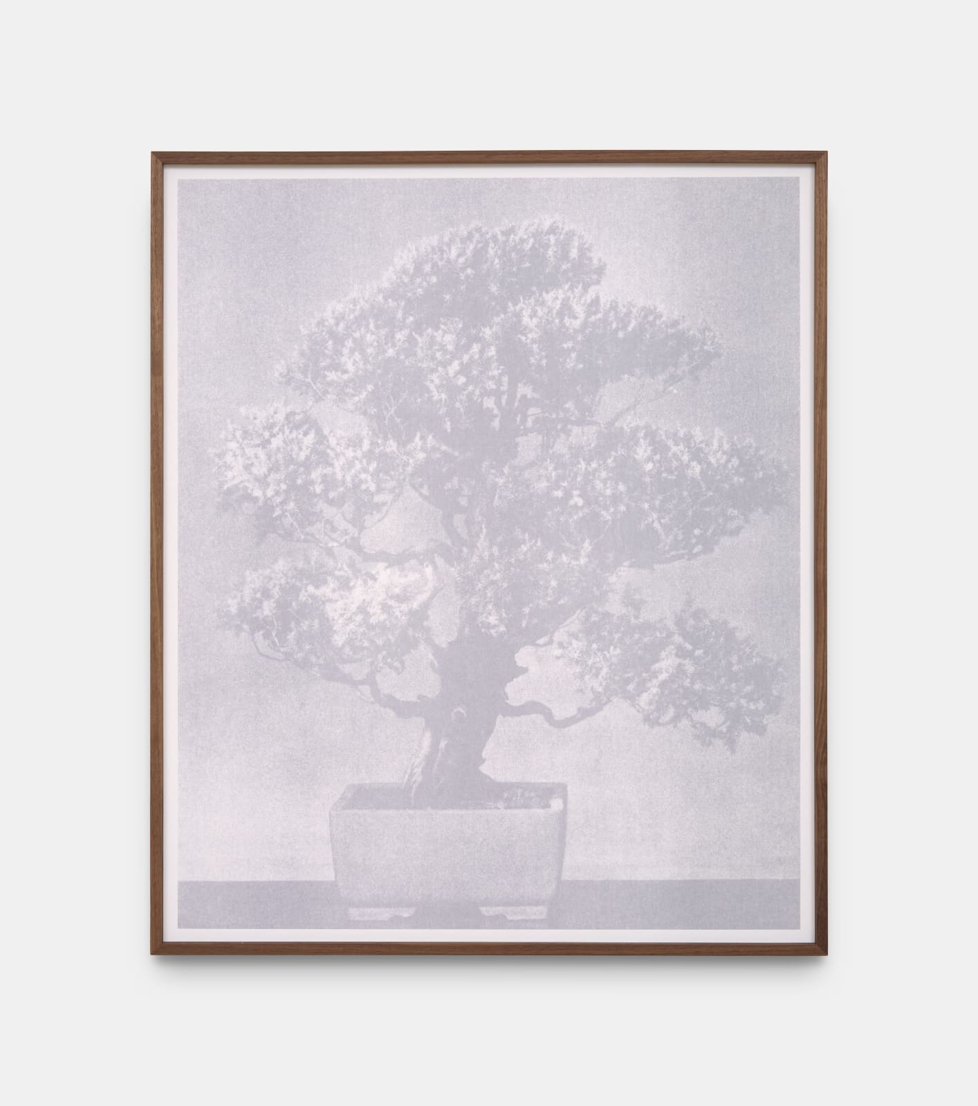 Feiyi Wen, The Untitled, 2025