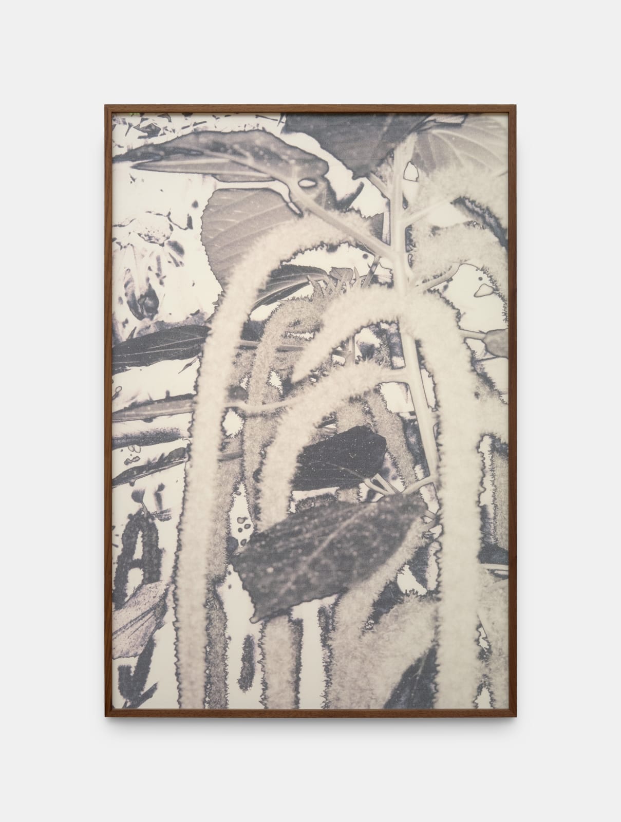 Feiyi Wen, The Untitled, 2025