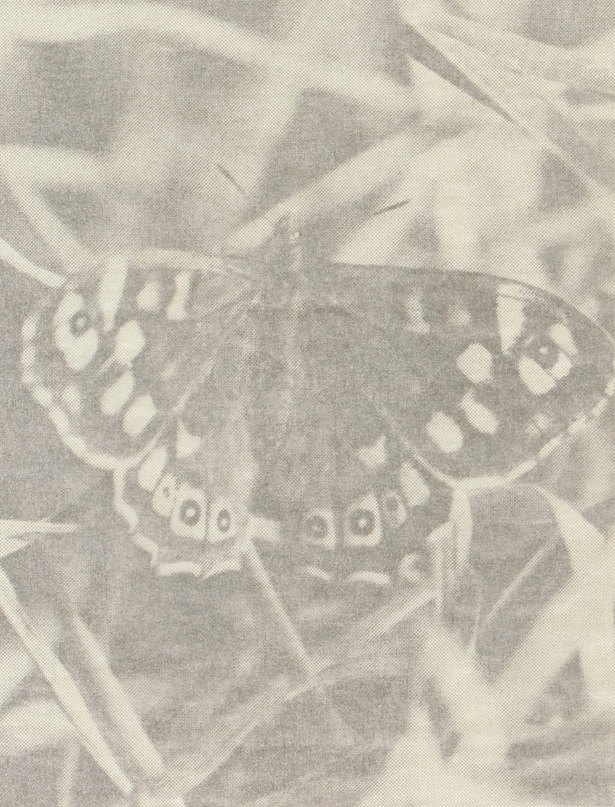 Feiyi Wen, The Untitled, 2024