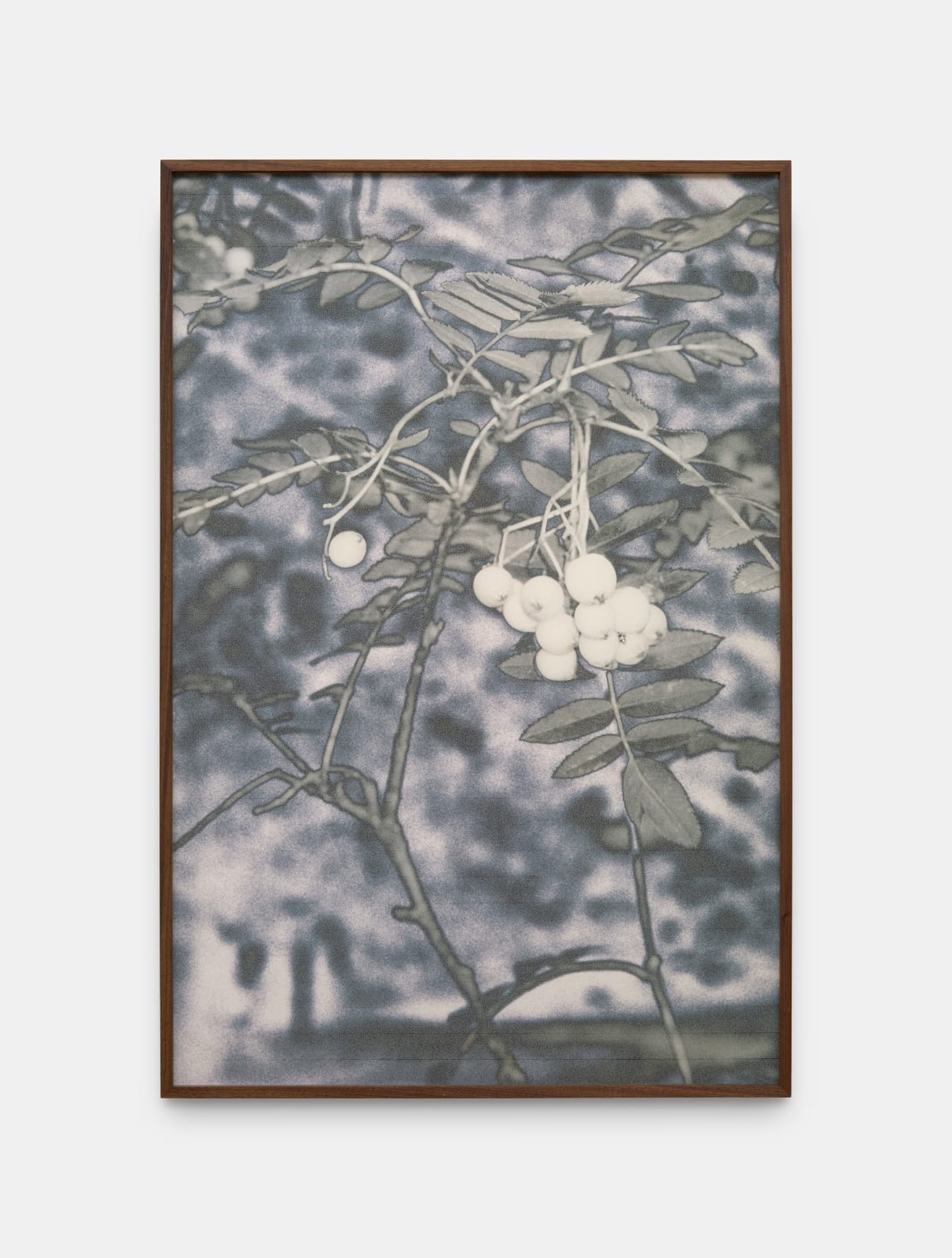 Feiyi Wen, The Untitled, 2025