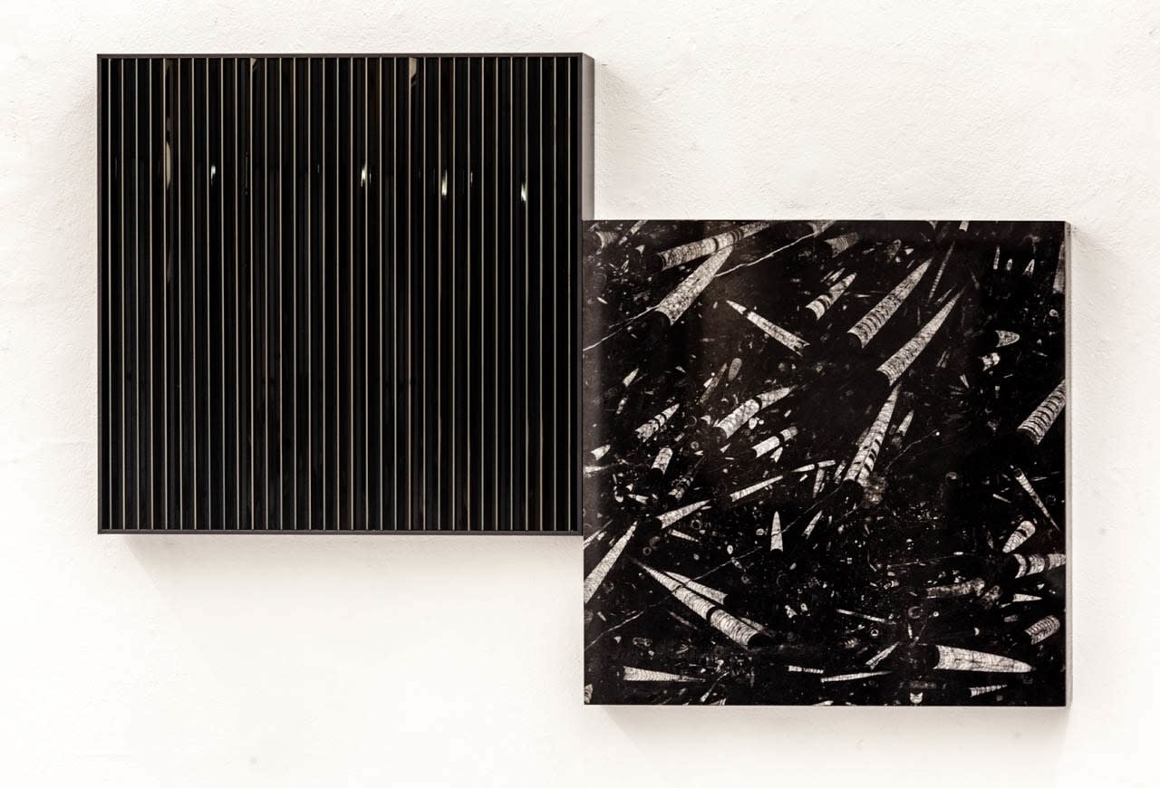 Ana Maria Tavares, Disjunção Prismática IV (Saturno Black), 2019