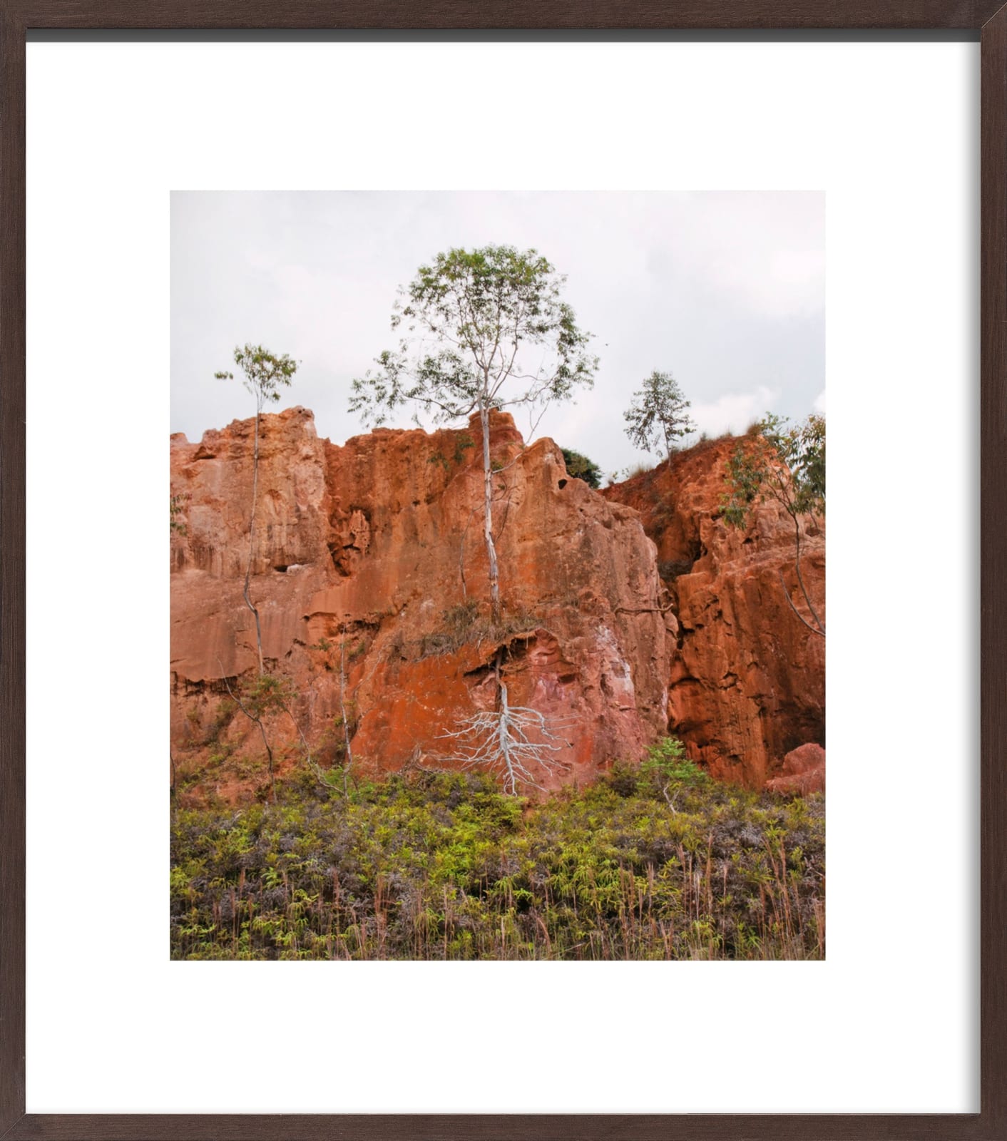Pedro Motta, Sem título - Série Natureza das Coisas, 2013