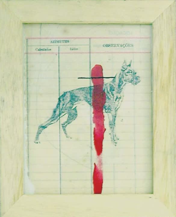 Daniel Bilac, Sem título, 2008