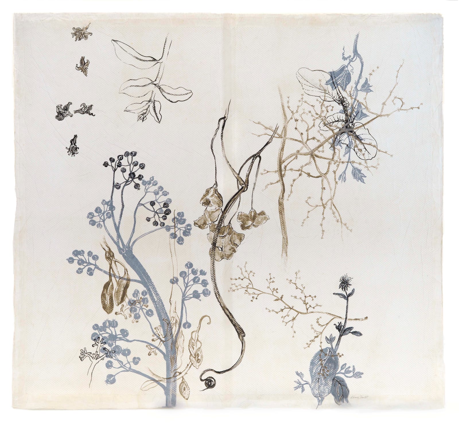 Liliane Dardot, Mato Dentro 1 , 2025