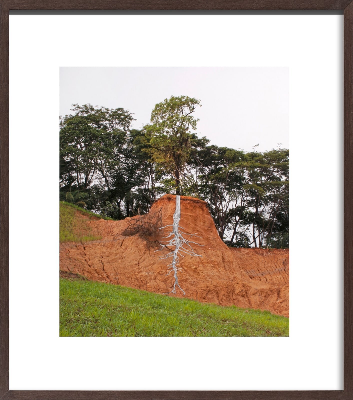Pedro Motta, Sem título - Série Natureza das Coisas, 2013