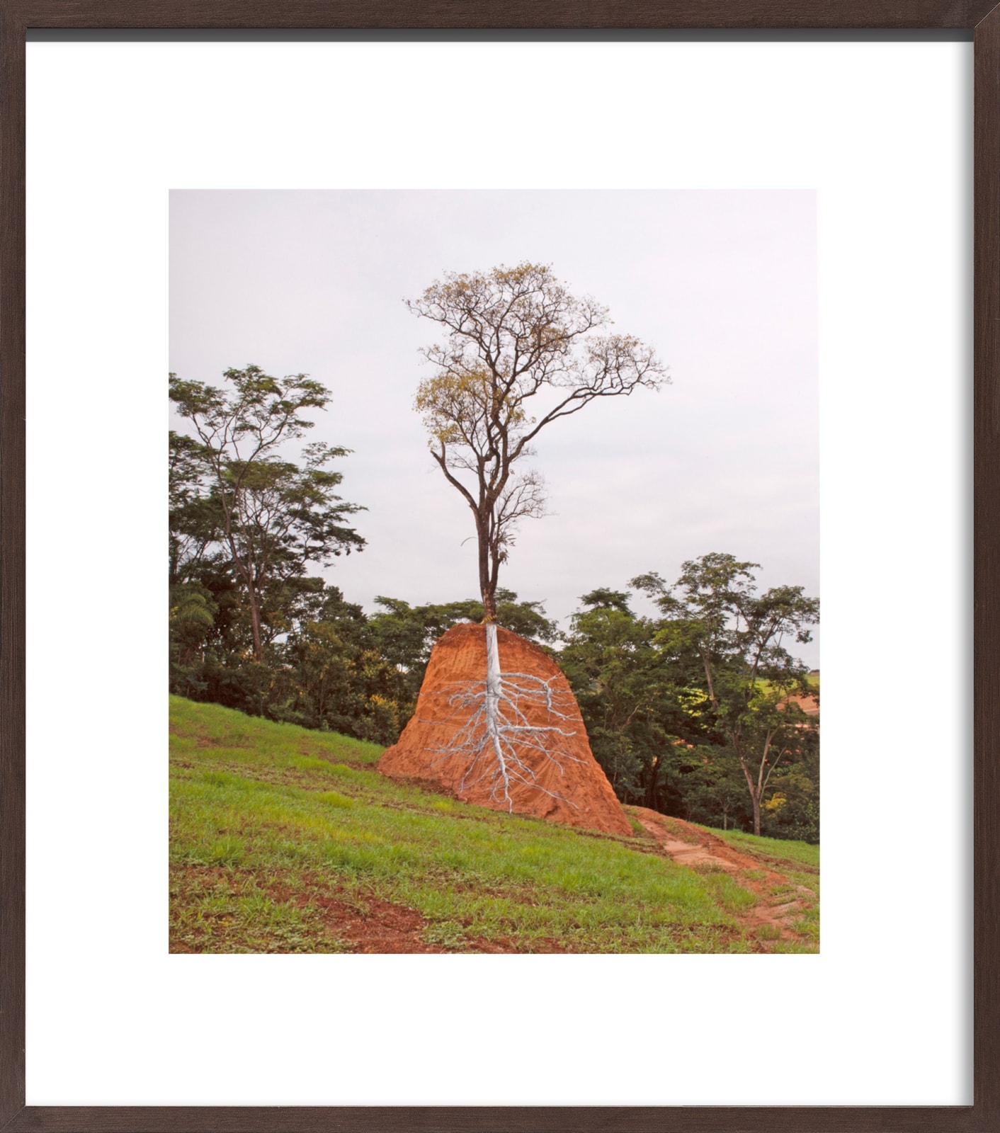 Pedro Motta, Sem título - Série Natureza das Coisas, 2013